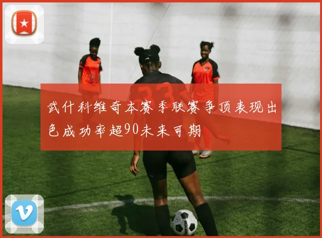 武什科维奇本赛季联赛争顶表现出色成功率超90未来可期