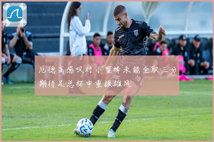 厄德高感叹对小蜜蜂未能全取三分期待足总杯中重振雄风